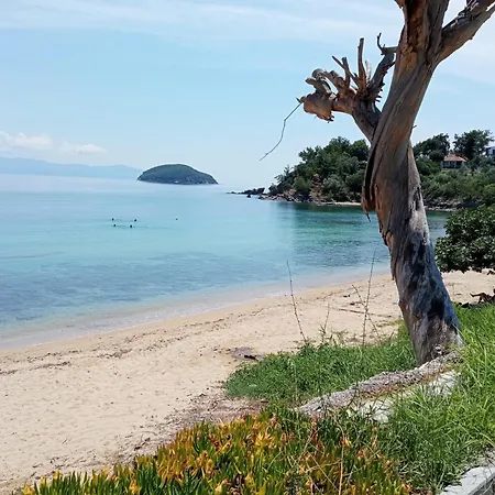 Agioneri PalaiónTsiflíkion